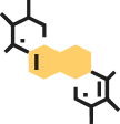 Amino Acids