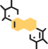 Amino Acids