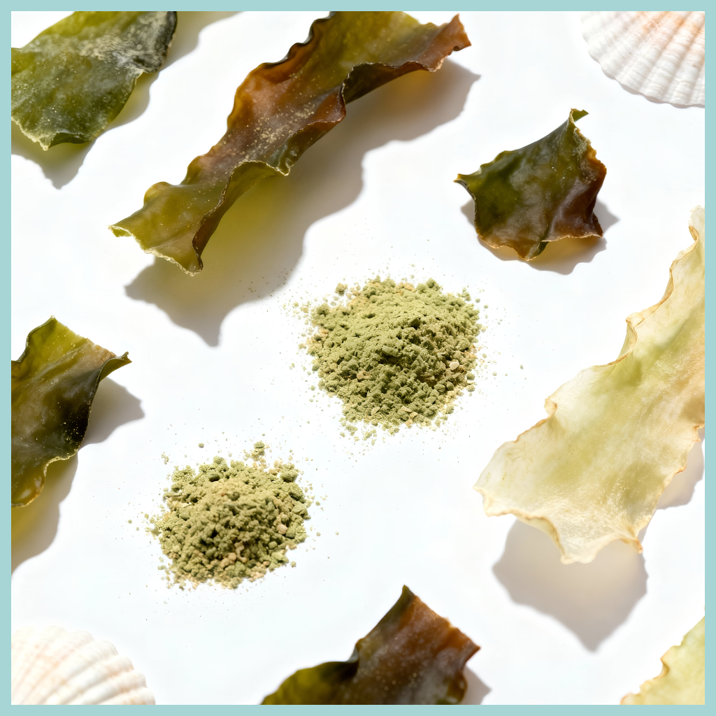 Marine & Other Ingredients Product