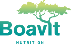 logo footer