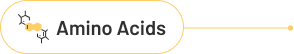 Amino Acids